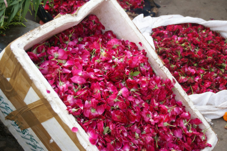 Flower Market Jaipur